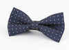Plaid Painted Cravat Bow Tie