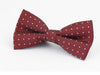 Plaid Painted Cravat Bow Tie