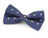 Plaid Painted Cravat Bow Tie