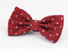 Plaid Painted Cravat Bow Tie