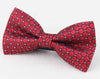 Plaid Painted Cravat Bow Tie